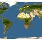 Discover Life: Point Map of Eurithia anthophila