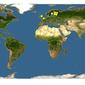 Discover Life: Point Map of Macquartia nudigena